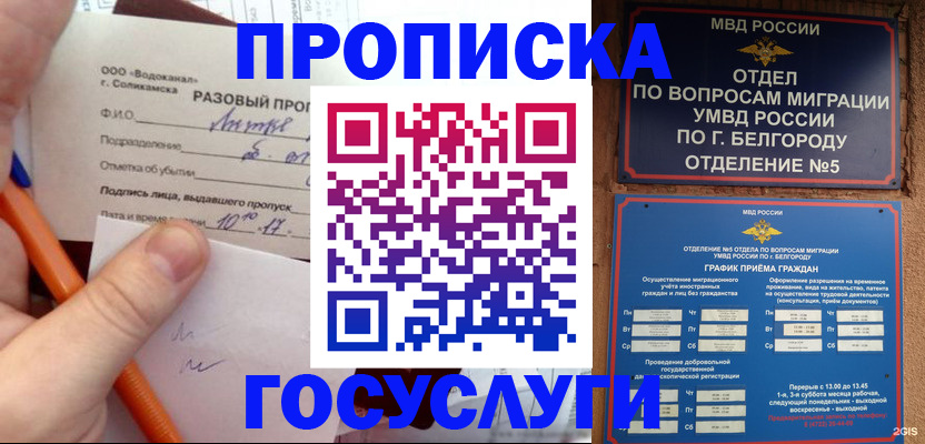 временная регистрация адрес в Щёлково